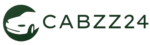 Cabzz 24: Corporate TAxi Service In Chandigarh | Jaipur | Mohali | Delhi